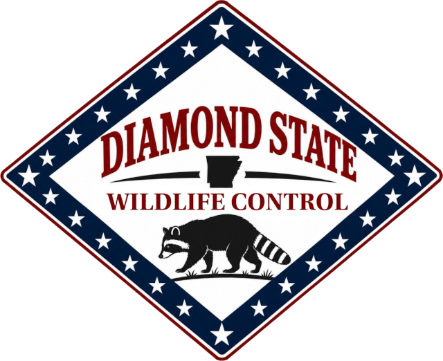 Diamond State Wildlife